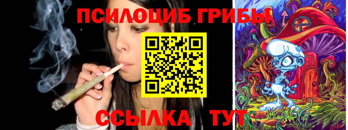 Галлюциногенные грибы Psilocybe  Вход с VPN  Лабытнанги 