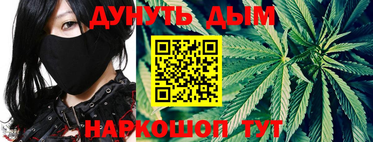Каннабис сатива Лабытнанги
